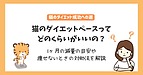 猫のダイエットペースとは？1ヶ月の減量の目安や短期間でのリスク、痩せないときの対処法を解説