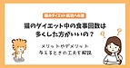 猫のダイエット中の食事回数は多くした方がよい?メリットデメリットや与えるときの工夫まで解説