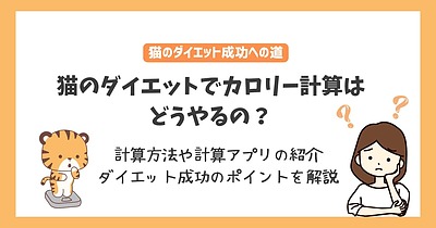 猫のダイエットはカロリー計算から❘成功の秘訣と管理方法を解説