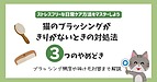 猫のブラッシングがキリがない!やめどき3つのポイントや頻度から抜け毛対策まで徹底解説
