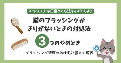猫のブラッシングがキリがない!やめどき3つのポイントや頻度から抜け毛対策まで徹底解説