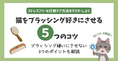 【元トリマーが伝授】猫をブラッシング好きにさせる5つのコツ