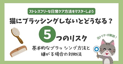 猫にブラッシングしないとどうなる？5つのリスクと基本的な方法❘嫌がる場合の対処法も解説