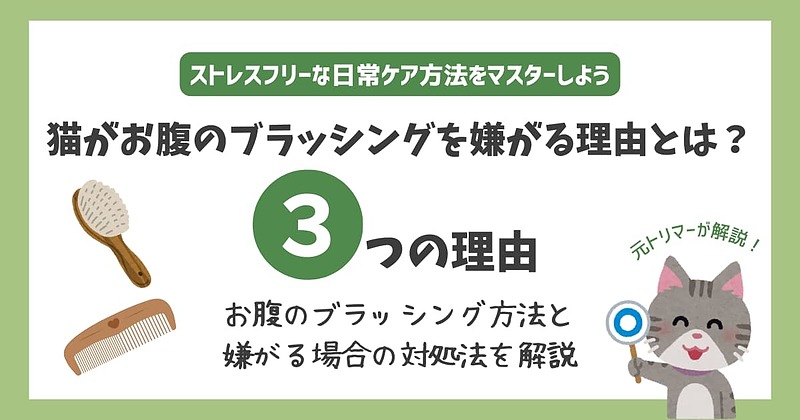 猫お腹ブラッシング嫌がる