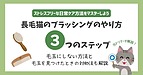 長毛猫のブラッシングのやり方は？おすすめの道具や毛玉をとるコツも解説