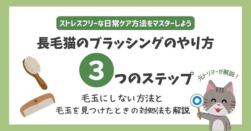 長毛猫ブラッシングやり方
