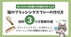 猫のブラッシングスプレーを手作りして静電気対策❘使い方や注意点まで解説