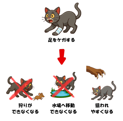 足を負傷したときのリスク