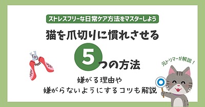 猫を爪切りに慣れさせる5つの方法❘嫌がる理由や嫌がらないようにするコツも解説
