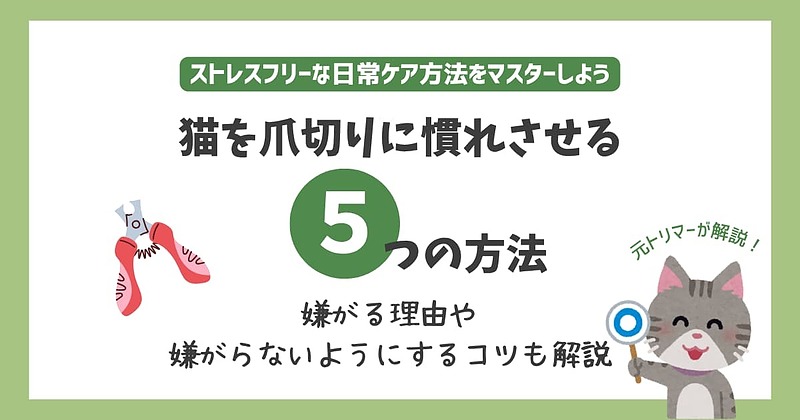 猫を爪切りに慣れさせる
