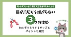 猫が嫌がらない爪切りの体勢は?初心者でもできるやり方とポイントを解説