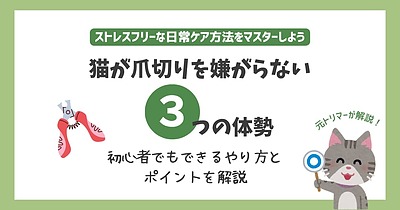 猫が嫌がらない爪切りの体勢は?初心者でもできるやり方とポイントを解説