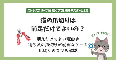 猫の爪切りは前足だけでよいの？理由や後ろ足の爪の切り方を解説
