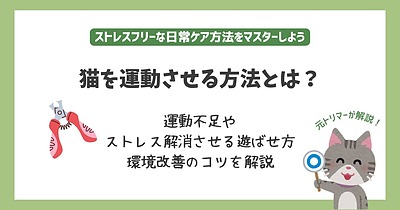 猫を運動させる方法とは｜運動不足やストレス解消させる遊ばせ方や環境改善のコツを解説