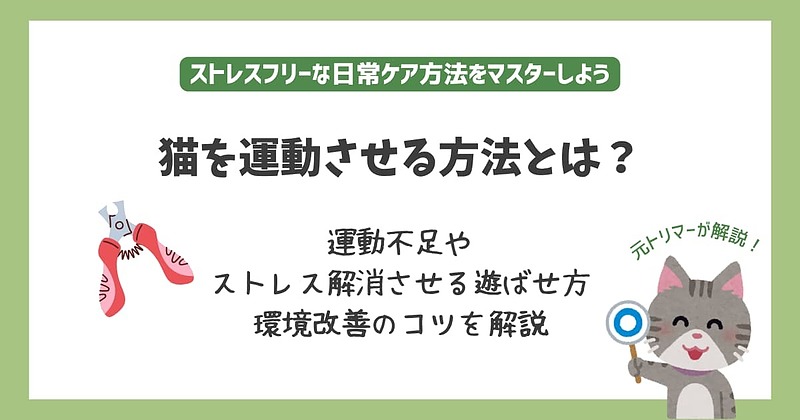 アイキャッチ「猫 運動 させる 方法」 アイキャッチ「猫 運動 させる 方法」