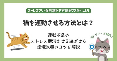 猫を運動させる方法とは｜運動不足やストレス解消させる遊ばせ方や環境改善のコツを解説