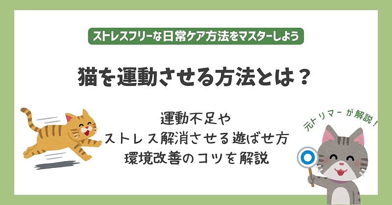 アイキャッチ猫運動させる方法 アイキャッチ猫運動させる方法