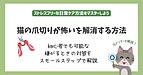 猫の爪切りが怖いを解消する方法｜初心者でも可能な嫌がるときの対策をスモールステップで解説