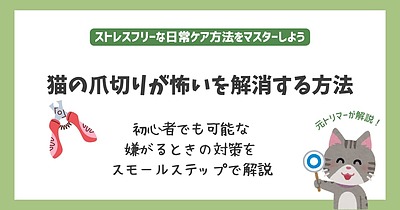 猫の爪切りが怖いを解消する方法｜初心者でも可能な嫌がるときの対策をスモールステップで解説