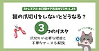 猫の爪切りしないとどうなる?3つリスクから必要な理由と不要なケースを解説