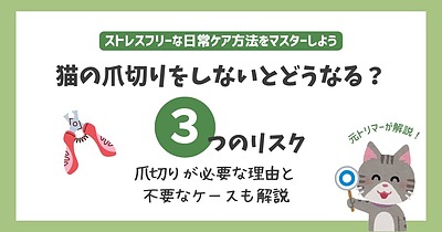 猫の爪切りしないとどうなる?3つリスクから必要な理由と不要なケースを解説