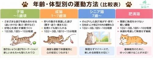 猫の年齢・体型別の運動方法(比較表)