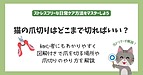 猫の爪切りはどこまで切ればいい?初心者にもわかりやすく図解付きでやり方を解説