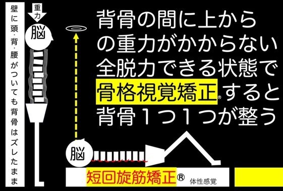 脱力した状態で安全に鍛える