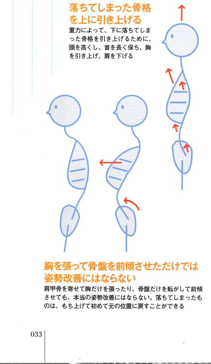 姿勢　崩れる原因　直し方