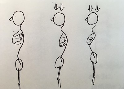 背骨の動き　解説