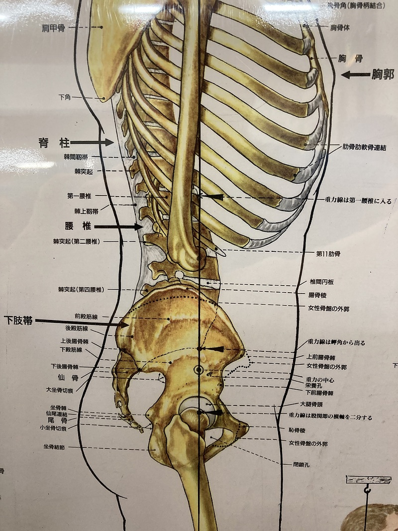 反り腰　直し方