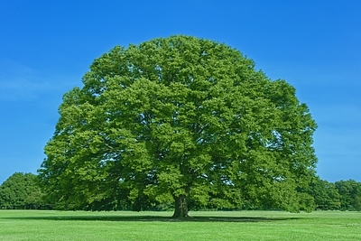 事業承継と経営者保証の解除㉔