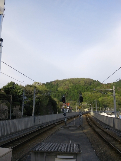 五日市の春の山（落葉林ではありませんが）