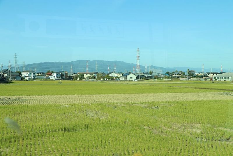 三河の秋