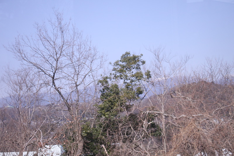 足尾へ行く途中の山