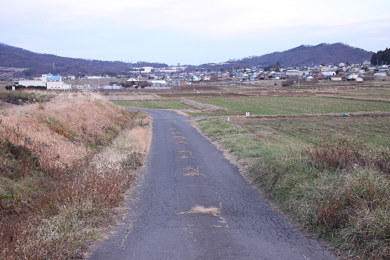 無言官近くの野の道