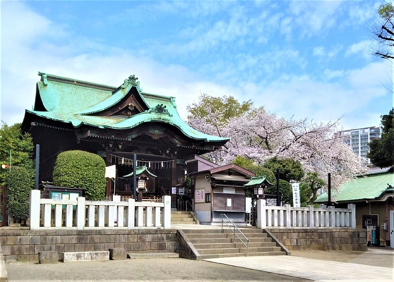 桐ケ谷氷川神社と桜