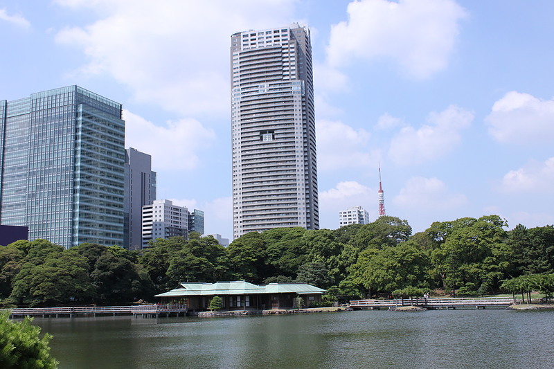 夏　芝浦あたり