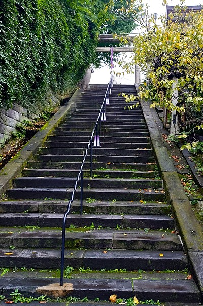 言問学舎の冬期講習2025‐26・都立高校受験者は難問を解かず基礎からが肝心です