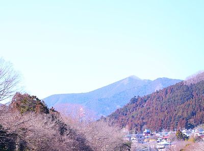 2月期入塾説明会後半日程をご案内致します‐真の国語を教える言問学舎