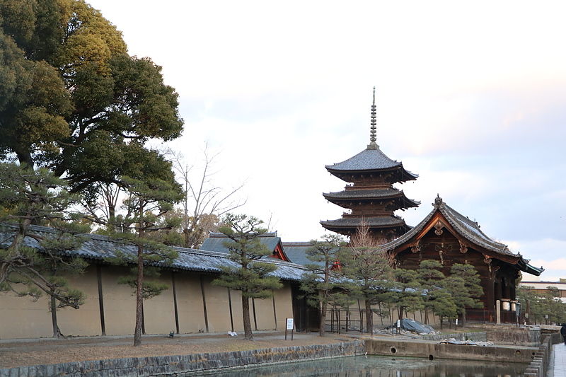 早春の東寺