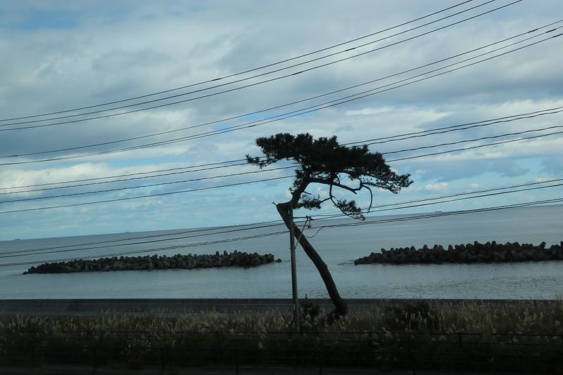 嵐の前の海
