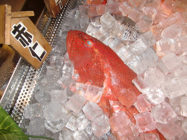 沖縄の高級魚アカジンミーバイ白身で美味しいです