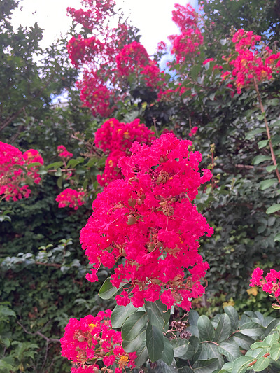 世の中は、唯心(無形)と唯物(有形)との両方の存在で成り立っている！！