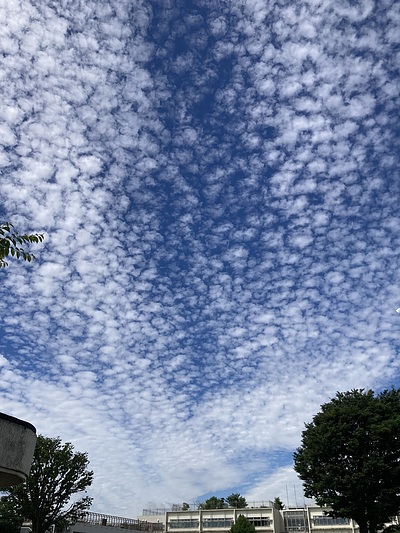 改名を考えているかたが増えています。