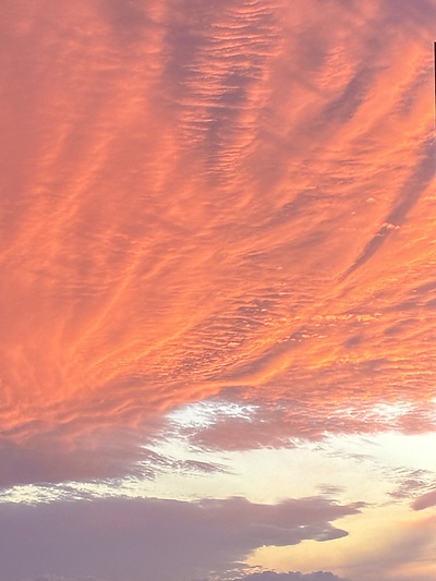 『命名』によって・名付けで、人生は大きく変わるのです。