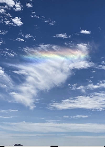 【開運盛名】 新年を正しく力を持った名前『命名』で迎えましょう！