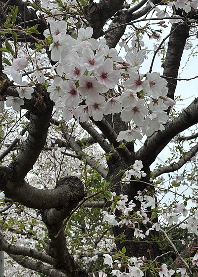 いいですか！？ … 誰でも皆、神仏から護られているのですよ。