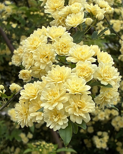 何か！？… が、起こってしまってからでは遅すぎるのです。