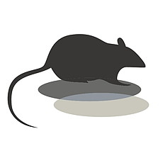 ネズミによる被害例と事例の紹介 宮崎宜夫 マイベストプロ東京